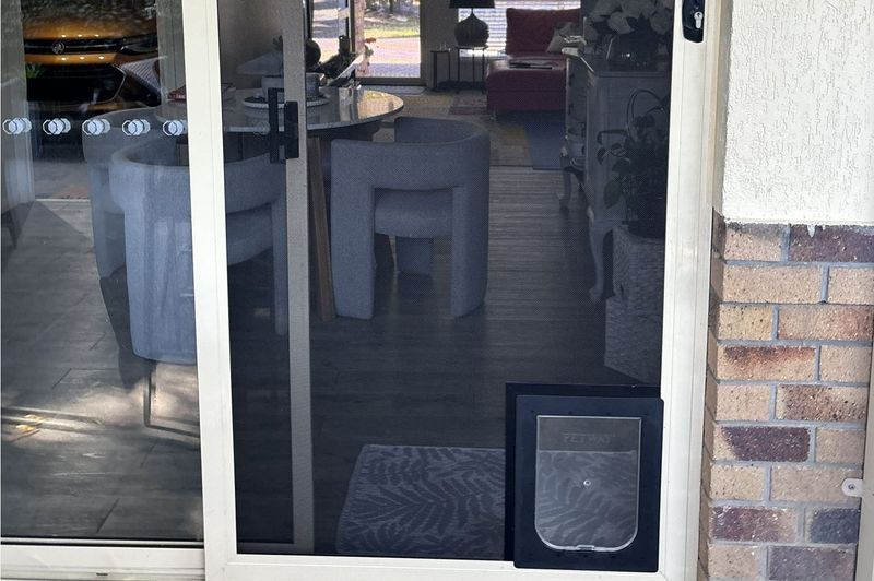 cat door for screen door